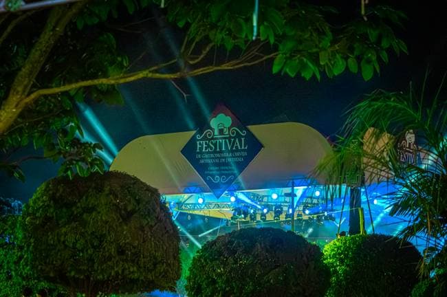 Festival Gastronômico de Divinésia 2024